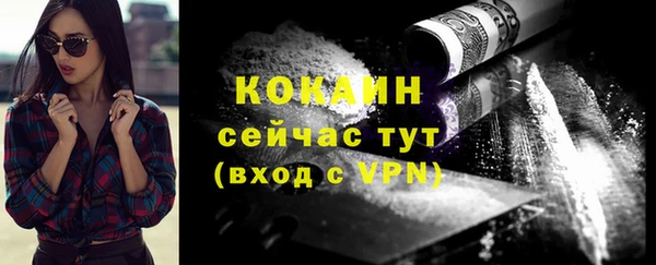 бошки Белокуриха
