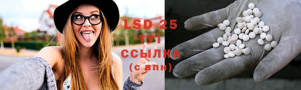 бошки Белокуриха