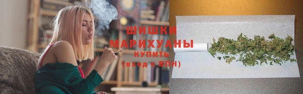 бошки Белокуриха