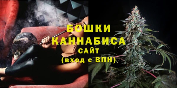 бошки Белокуриха