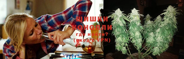 бошки Белокуриха