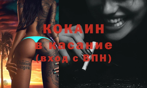 бошки Белокуриха