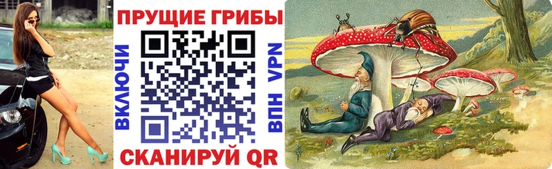 Псилоцибиновые грибы Cubensis  Светлогорск 